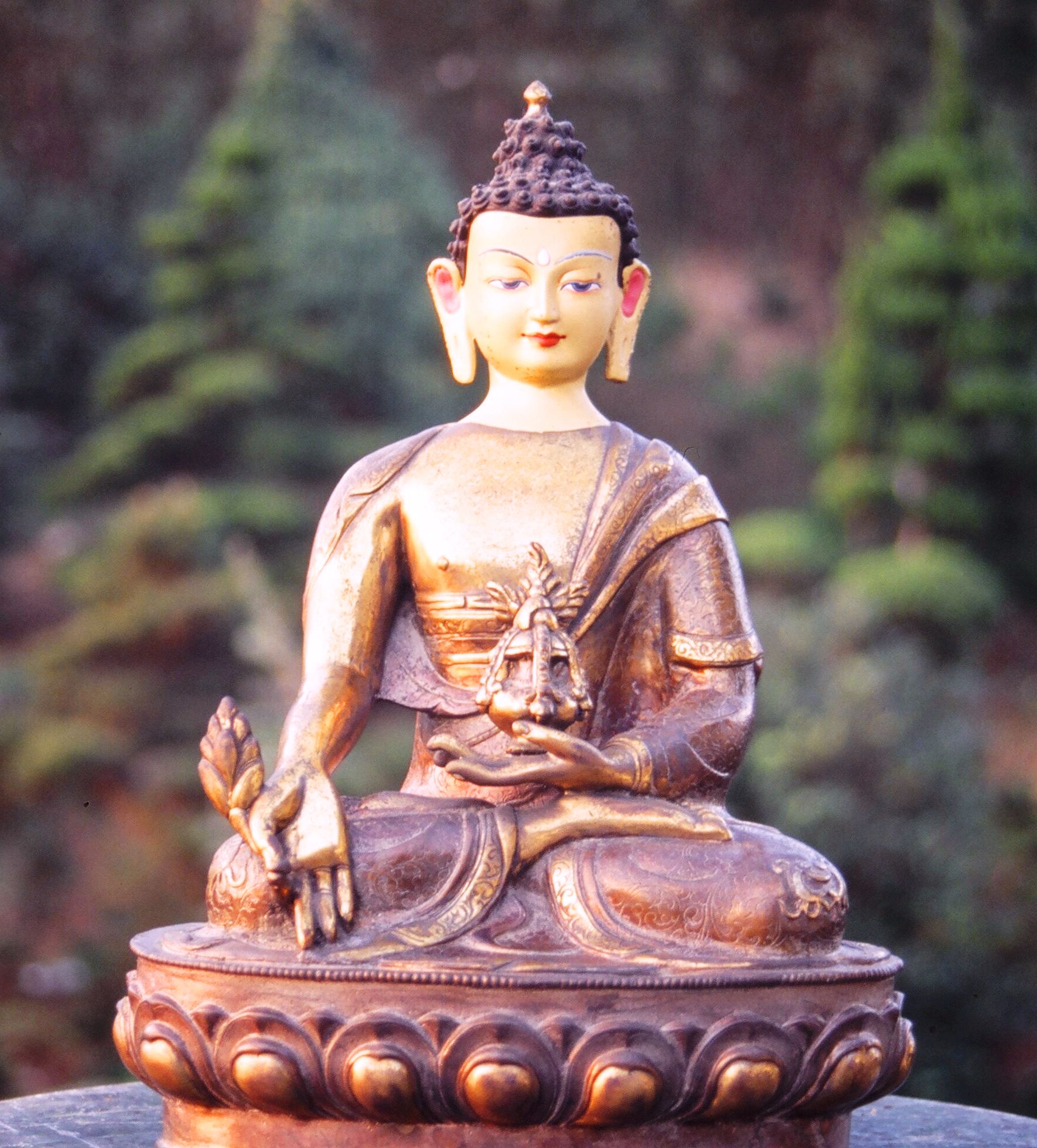Healing Buddha Image